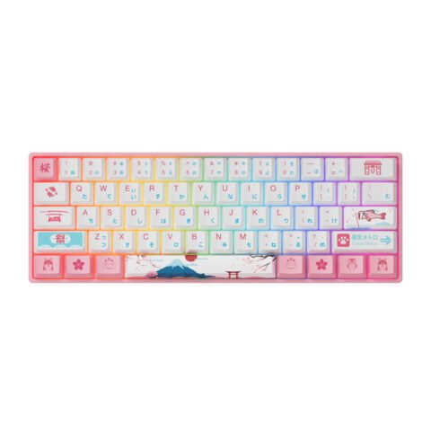 New-Version-AKKO-3061S-Tokyo-R2-Mechanical-Keyboard-61-Keys-Wired-Hot-Swappable-Gateron-Prelubricate-Switch-RGB-Cherry-Profile-PBT-Keycaps-Gaming-Keyboard